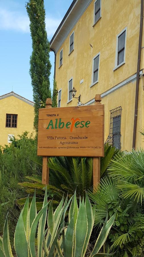 Terre Regionali Toscane Alberese Buitenkant foto